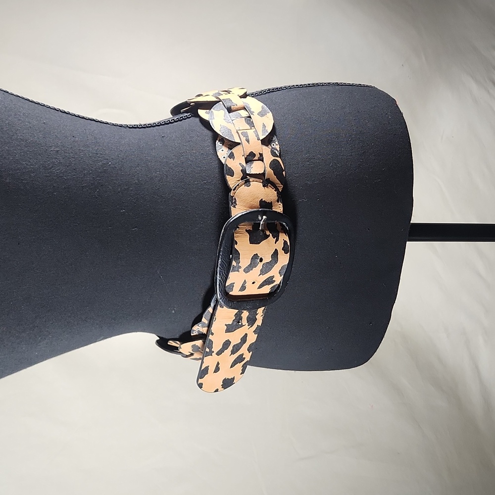 Reversible BELT